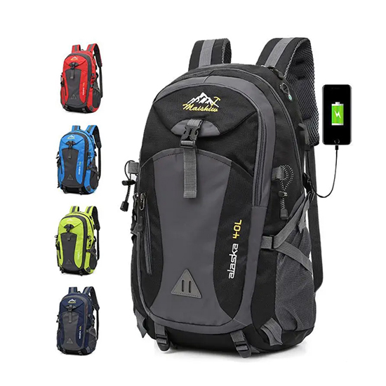 Traveling bag