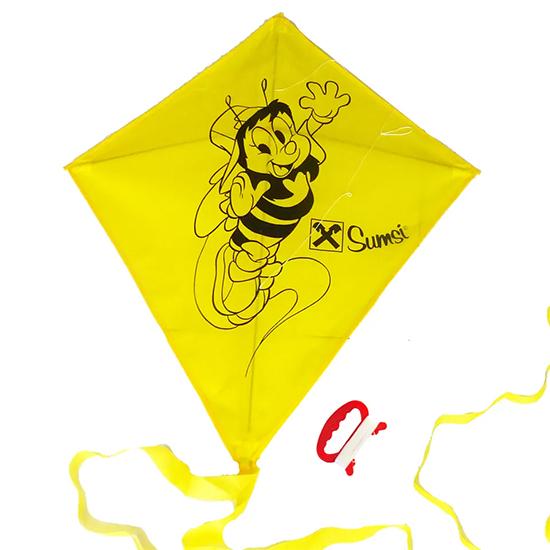 Kite